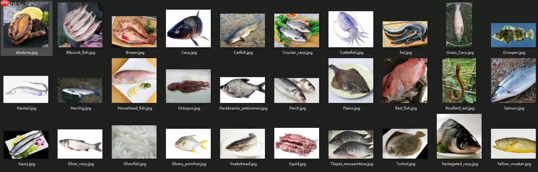 『AI达人创造营』基于PaddleHub实现常见鱼类分类及微信小程序部署 - 游乐网