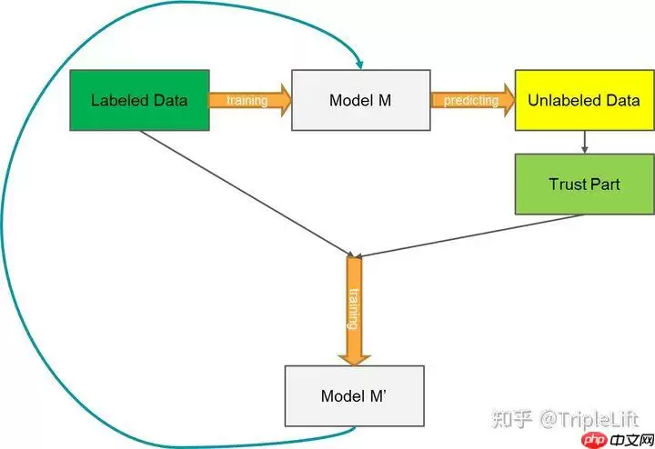 导盲赛事第二弹: 数据集与训练策略 - 游乐网