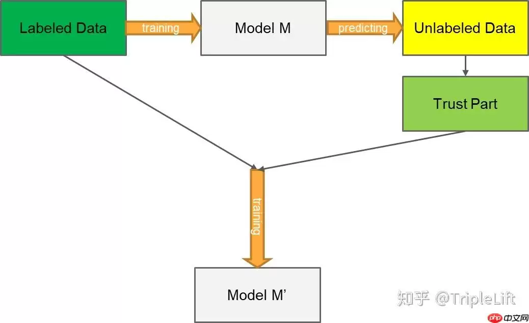 导盲赛事第二弹: 数据集与训练策略 - 游乐网