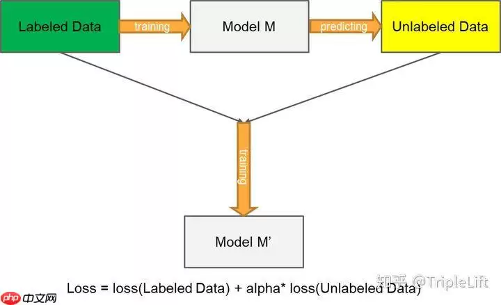 导盲赛事第二弹: 数据集与训练策略 - 游乐网