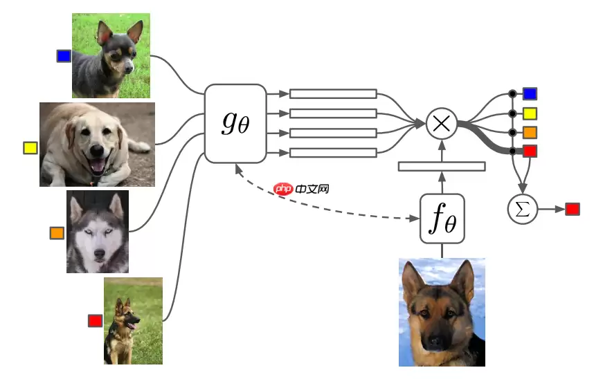 【飞桨论文复现赛-小样本学习】MatchingNet - 游乐网