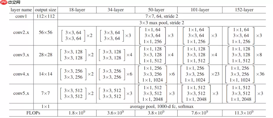基于计算机视觉的全细胞计数自动化分析方法 - 游乐网