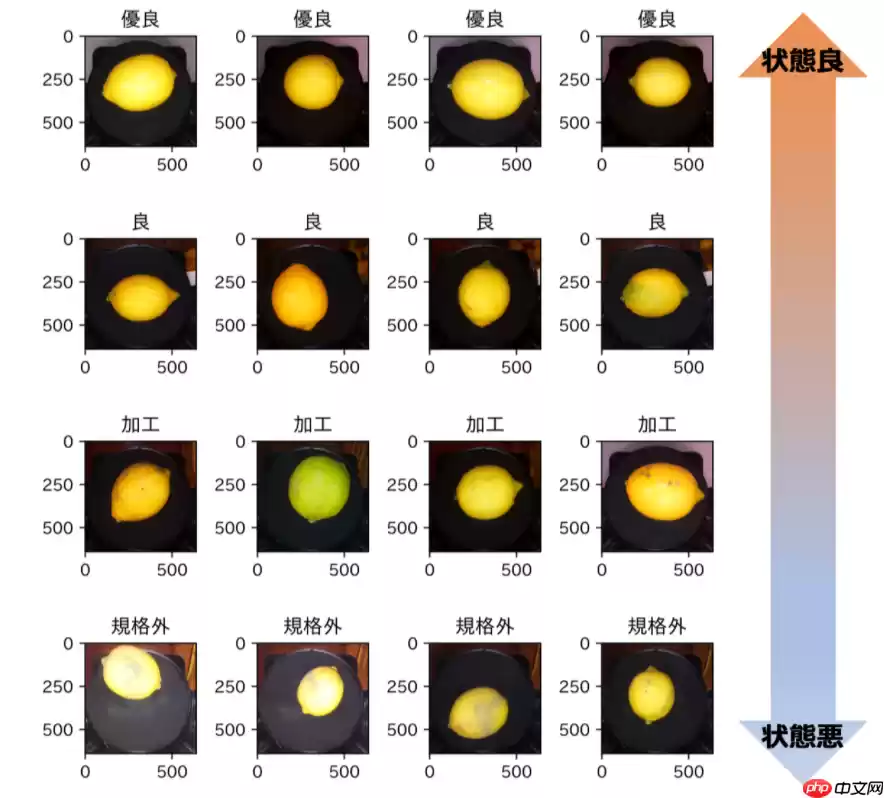 基于MobileNetV2的柠檬外观分类实践 - 游乐网
