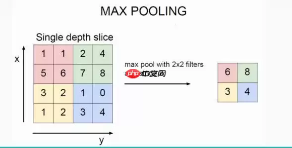 【PaddleHub模型贡献】一行代码实现海洋生物识别 - 游乐网