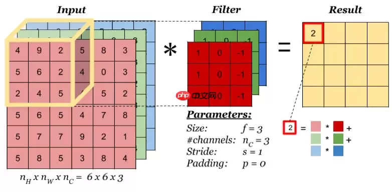 【PaddleHub模型贡献】一行代码实现海洋生物识别 - 游乐网
