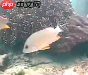 【PaddleHub模型贡献】一行代码实现海洋生物识别 - 游乐网