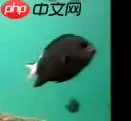 【PaddleHub模型贡献】一行代码实现海洋生物识别 - 游乐网