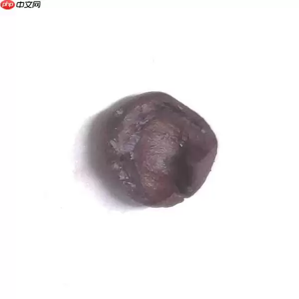 基于PaddleX2.0-PP-LCNet模型的咖啡豆质检分类 - 游乐网