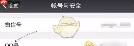 微信安全码初始密码介绍 具体一览