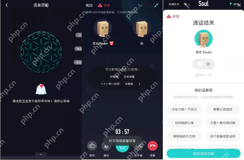 soul语音连麦掉线是为何 soul聊天突然中断如何处理 - 游乐网