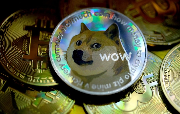 DOGE币24小时价格波动图APP 狗狗币实时行情K线走势在线查询 - 菜鸟下载