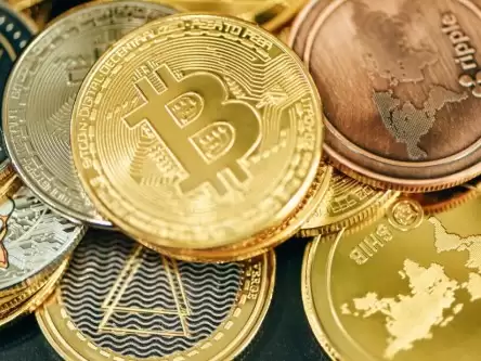 欧意和bi_an-第2张图片-本站