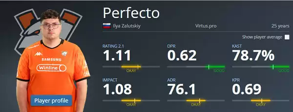 Virtus.pro选手Perfecto发文公开致歉： 