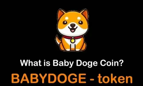 babydog.webp