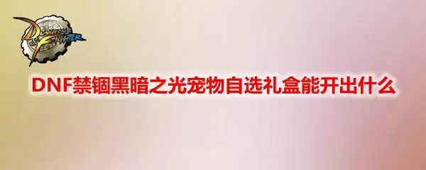 DNF禁锢黑暗之光宠物自选礼盒能开出什么