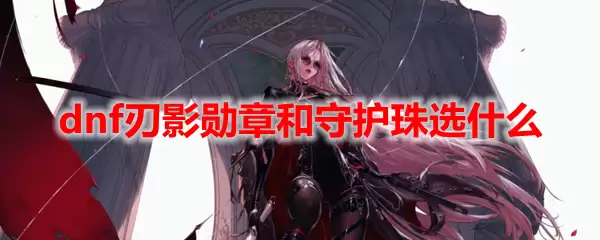 dnf刃影勋章和守护珠选什么