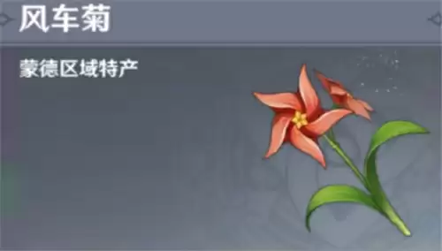 原神风车菊在哪里刷