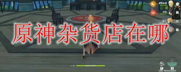 原神杂货店在哪