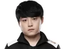 DK战队是哪个国家的