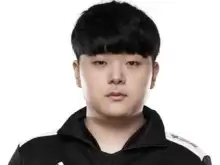 DK战队是哪个国家的