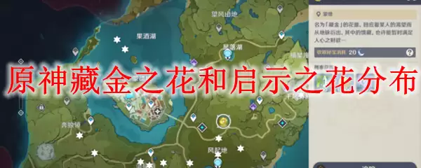 原神藏金之花和启示之花分布