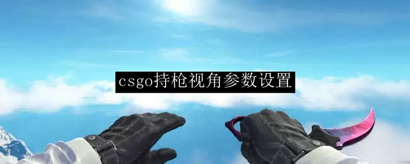 csgo持枪视角参数设置