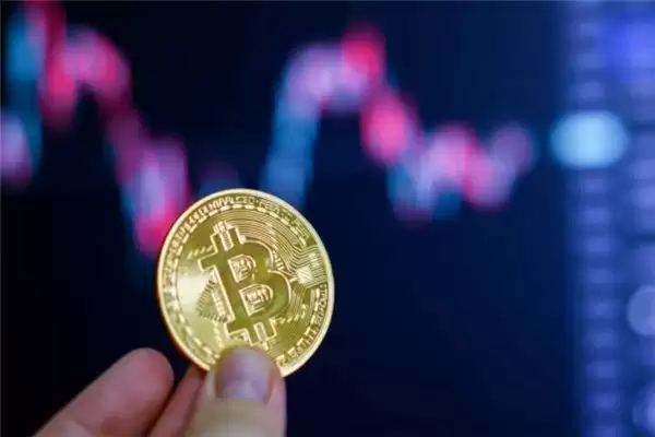 比特币为货币的国家