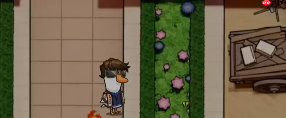 鹅鸭杀冒险家角色全解：地形杀免疫者的情报大师之路