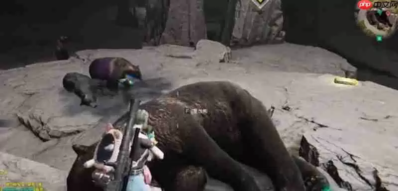 七日世界哪里刷皮最多七日 熊洞高效刷皮地点分享