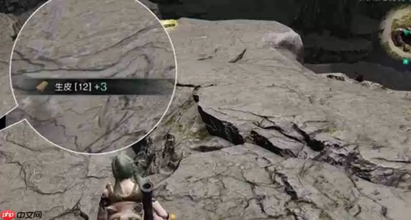 七日世界哪里刷皮最多七日 熊洞高效刷皮地点分享