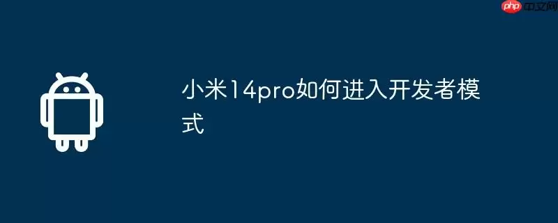 小米14pro如何进入开发者模式