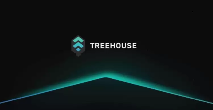 什么是Treehouse(TREE币)?如何运作?Treehouse团队背景,代币经济与未来前景分析