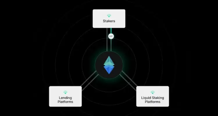 什么是Treehouse(TREE币)?如何运作?Treehouse团队背景,代币经济与未来前景分析