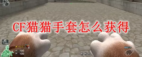 CF猫猫手套怎么获得