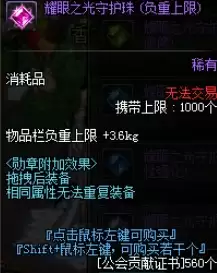 dnf奶妈勋章和守护珠选择什么