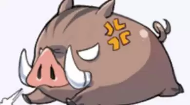 原神野猪哪里多
