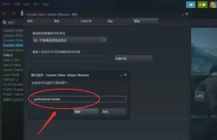csgo国服启动项怎么设置