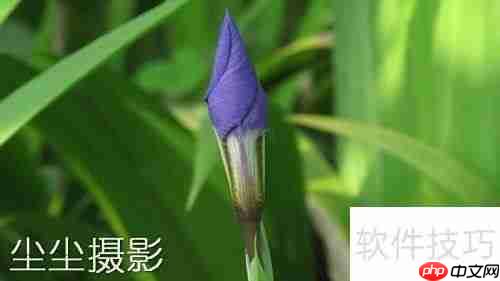 批量图片加水印方法
