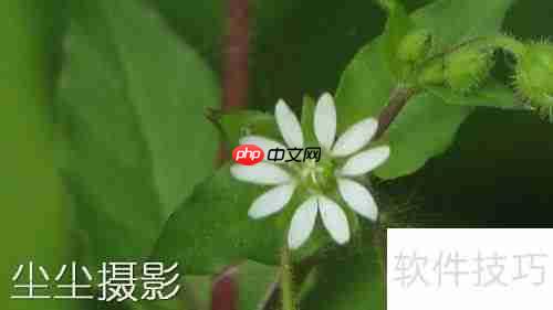 批量图片加水印方法