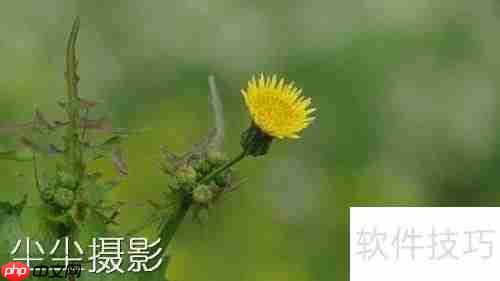 批量图片加水印方法