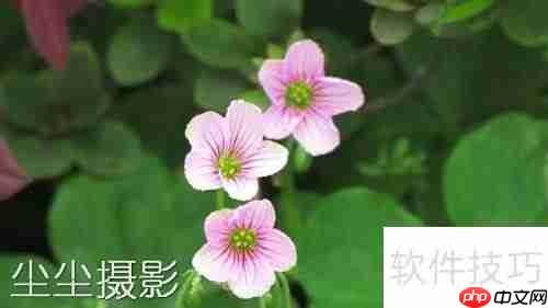 批量图片加水印方法