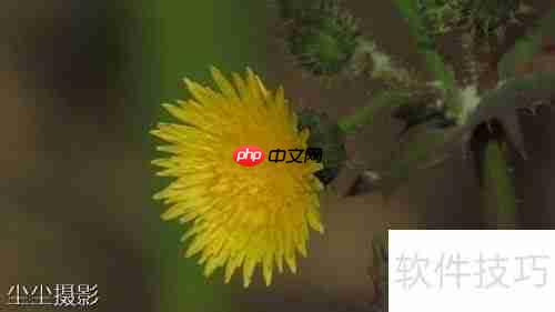 批量图片加水印方法