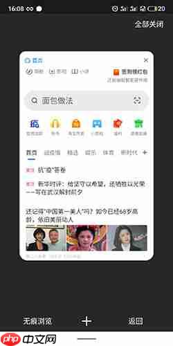 360手机浏览器无痕模式怎么设置  360手机浏览器无痕模式设置方法
