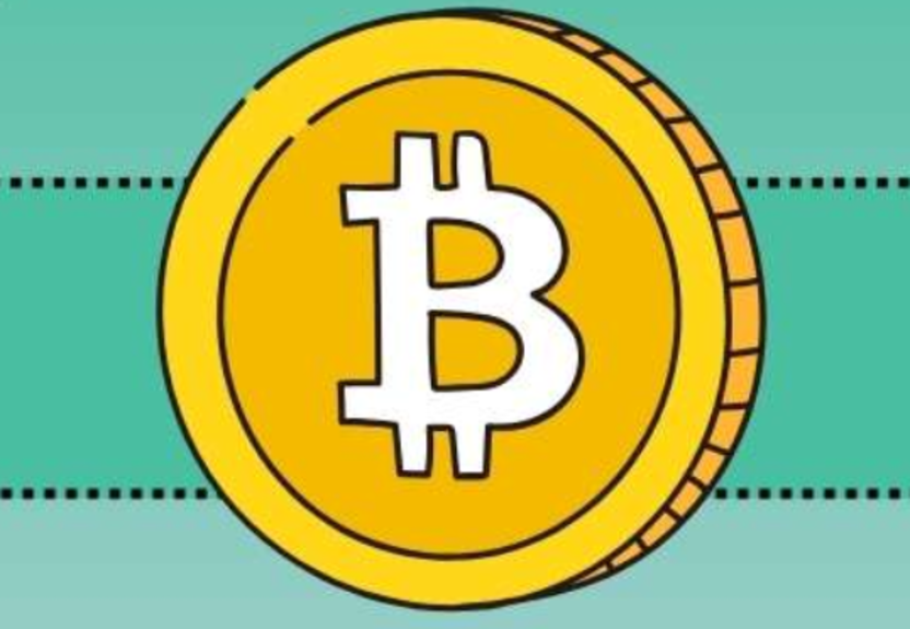 USDC和USDT有什么区别？哪种更安全更适合投资者？ - 菜鸟下载