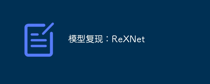 模型复现：ReXNet - 游乐网