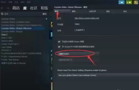 csgo国服启动器无法组队
