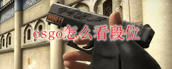 csgo怎么看段位