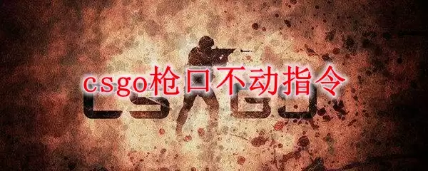 csgo枪口不动指令