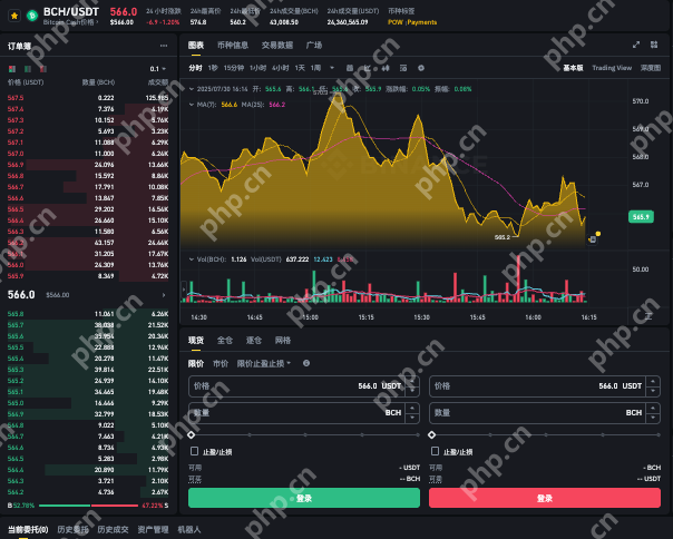 2025年BCH投资时机解析 BCH币是否值得买入？ - 菜鸟下载