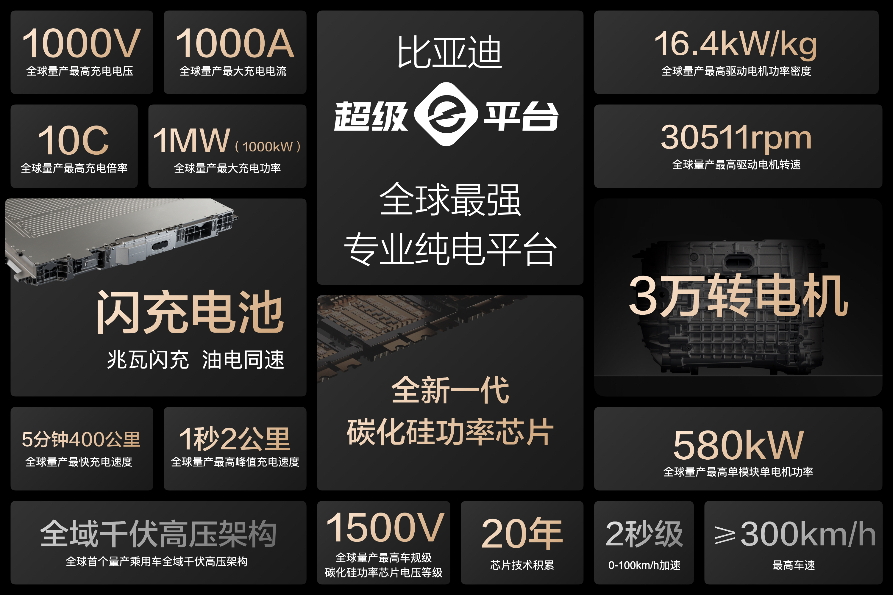 p3.jpg